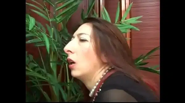 Veronica licenso