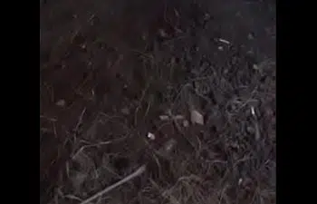 Acompanhantes em lajeado rs video de sexo Acompanhantes em lajeado rs video de sexo