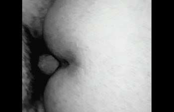 Videos Porno Apresentadores Bom Dia E Cia Porno Online - Xvideos - Videos  De Sexo Grátis
