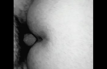 Apresentadores bom dia e cia porno online Apresentadores bom dia e cia porno online