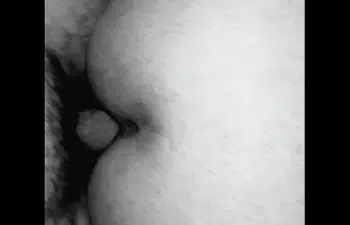 Apresentadores bom dia e cia porno online Apresentadores bom dia e cia porno online