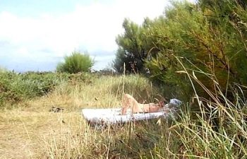 Bbw nudist Bbw nudist