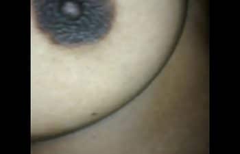 Bezerro mamando pica Bezerro mamando pica