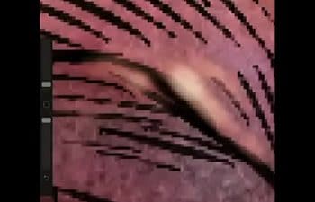 Bonecos do free fire para desenhar Bonecos do free fire para desenhar