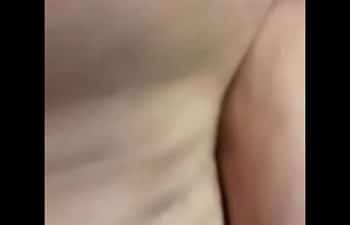 Bruna rabuda Bruna rabuda