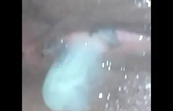 Casal fazendo sexo pela primeira vez Casal fazendo sexo pela primeira vez