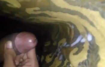 Como colocar um vídeo no status Como colocar um vídeo no status