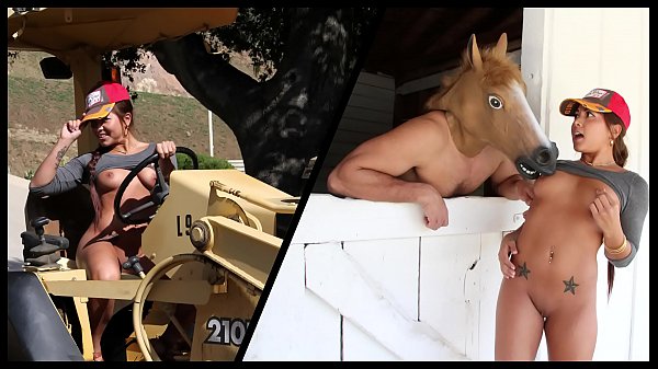 Consolo de cavalo