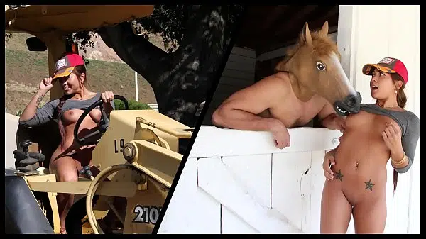 Consolo de cavalo