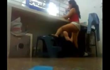 Dado de sexo Dado de sexo