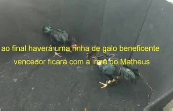 Garotas de programa de são mateus