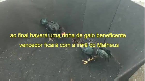 Garotas de programa de são mateus