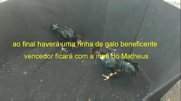 Garotas de programa de são mateus