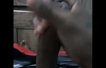 Gpdelicia jundiai