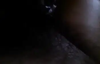 Jonas penis