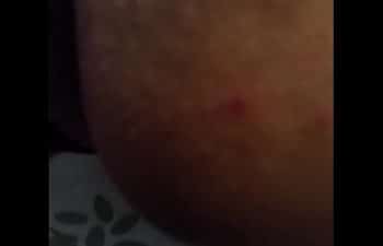 Morena gosrosa Morena gosrosa