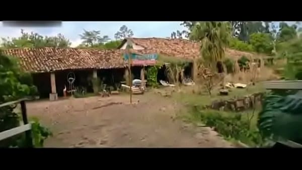 Mulher maravilha dublado