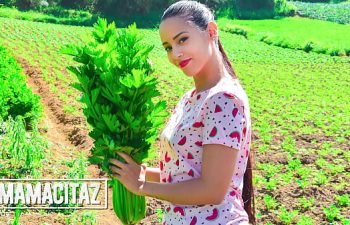 Mulher viu cabeta Mulher viu cabeta