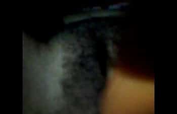 Pacotao da coroa