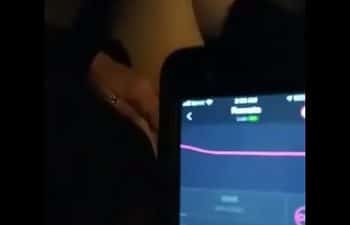 Pimba aplicativo Pimba aplicativo