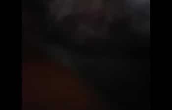 Porno avivo