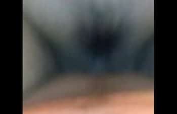 Rayner Rayner