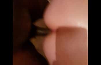 Thaís fersoza nua Thaís fersoza nua