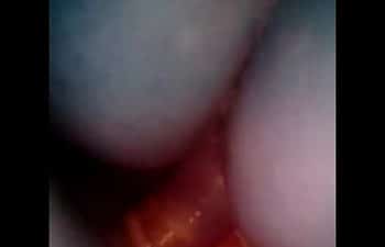 Videos gatas do whatsapp Videos gatas do whatsapp
