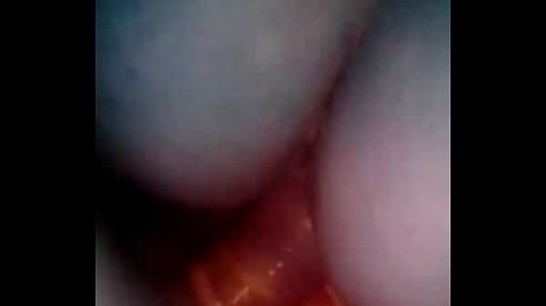 Videos gatas do whatsapp