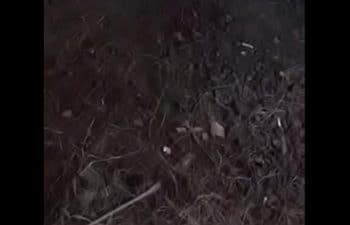 Acompanhante lajeado fodendo no meio do mato
