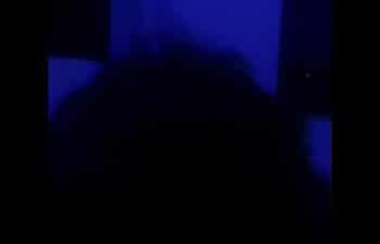Bunduda deliciosa Bunduda deliciosa