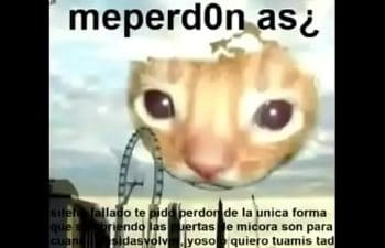 Gei Gei