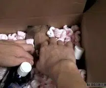 Reftube
