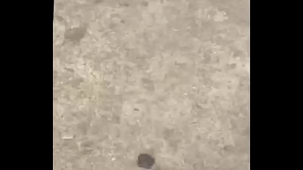 Sexo escondido na rua
