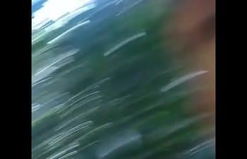 Subrinha no mato Subrinha no mato