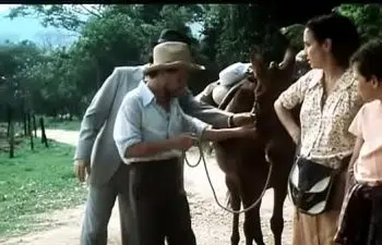 Thaís policarpo Thaís policarpo