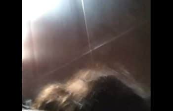 Tranzando com a cunhada Tranzando com a cunhada