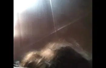 Tranzando com a cunhada Tranzando com a cunhada