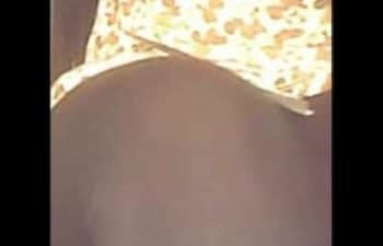Safira Prado Pelada Safira Prado Pelada