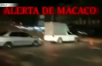 Dinho alves pelado Dinho alves pelado