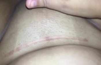 Gatas bucetudas Gatas bucetudas
