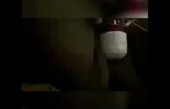Novinho sacudo Novinho sacudo