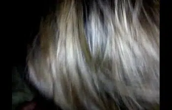 Os melhores videos de sexo amador brasileiro Os melhores videos de sexo amador brasileiro