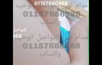 Perguntas pesadas 18 whatsapp Perguntas pesadas 18 whatsapp