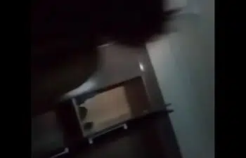 Poliana arapiraca Poliana arapiraca