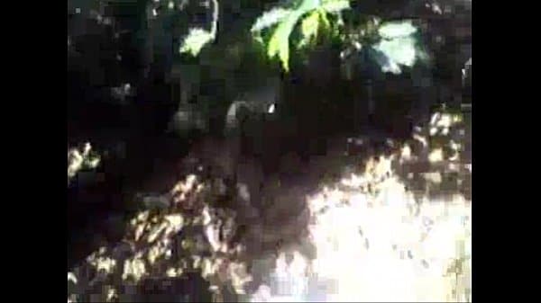 Proton videos