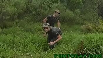 Shebate Shebate