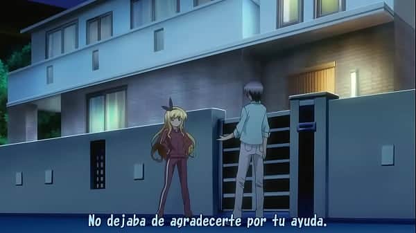 Shinobu ecchi