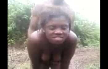 Xvid3 Xvid3