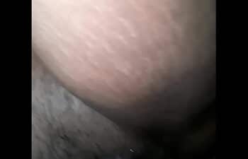 Bunduda sentando Bunduda sentando